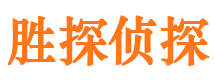 雁塔市调查公司